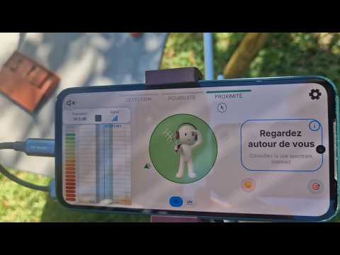 Comment trouver un nid de frelon asiatique avec LOCNEST : traque complète, non coupée, expliquée.